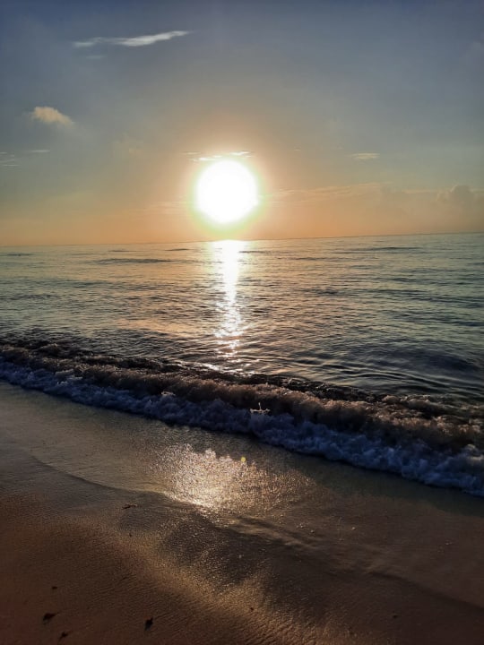 Strand Allegro Playacar