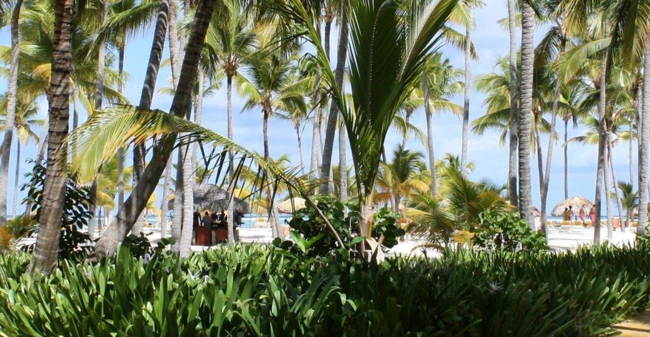 Strand Catalonia Punta Cana - All Inclusive