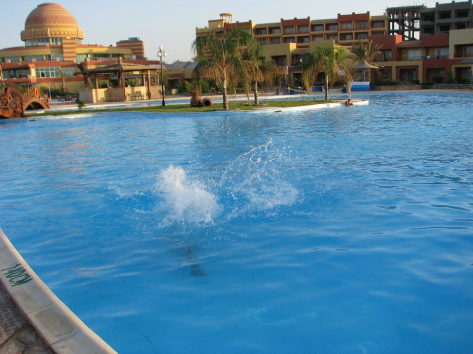 Skok do wody Malikia Resort Abu Dabbab