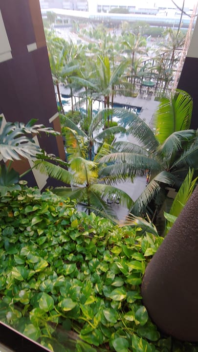 Pool Hotel Crowne Plaza Changi Airport