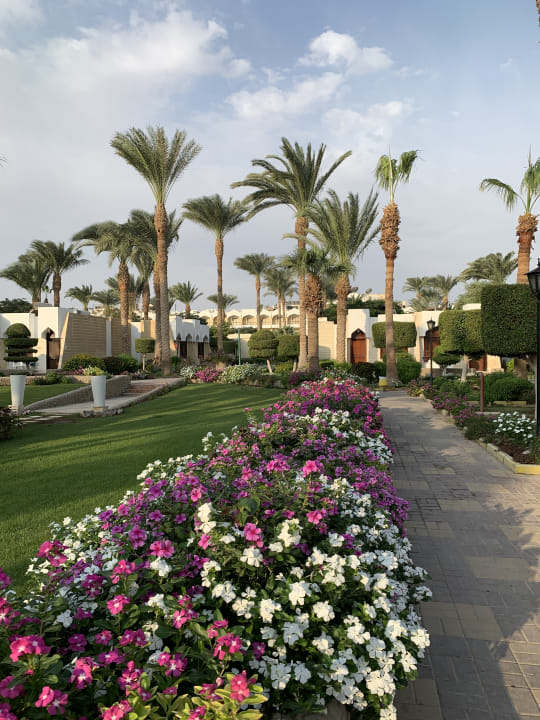 Gartenanlage Regina Resort and Aqua Park Hurghada