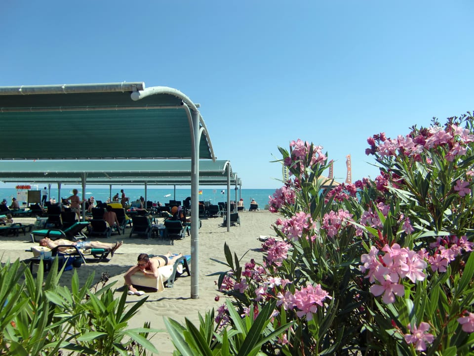 Hotelstrand Belek Beach Resort Hotel