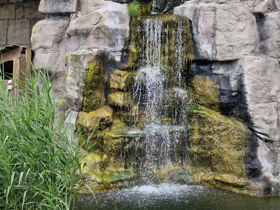 Gartenanlage Ferienwohnungen Ferienpark Weissenhäuser Strand