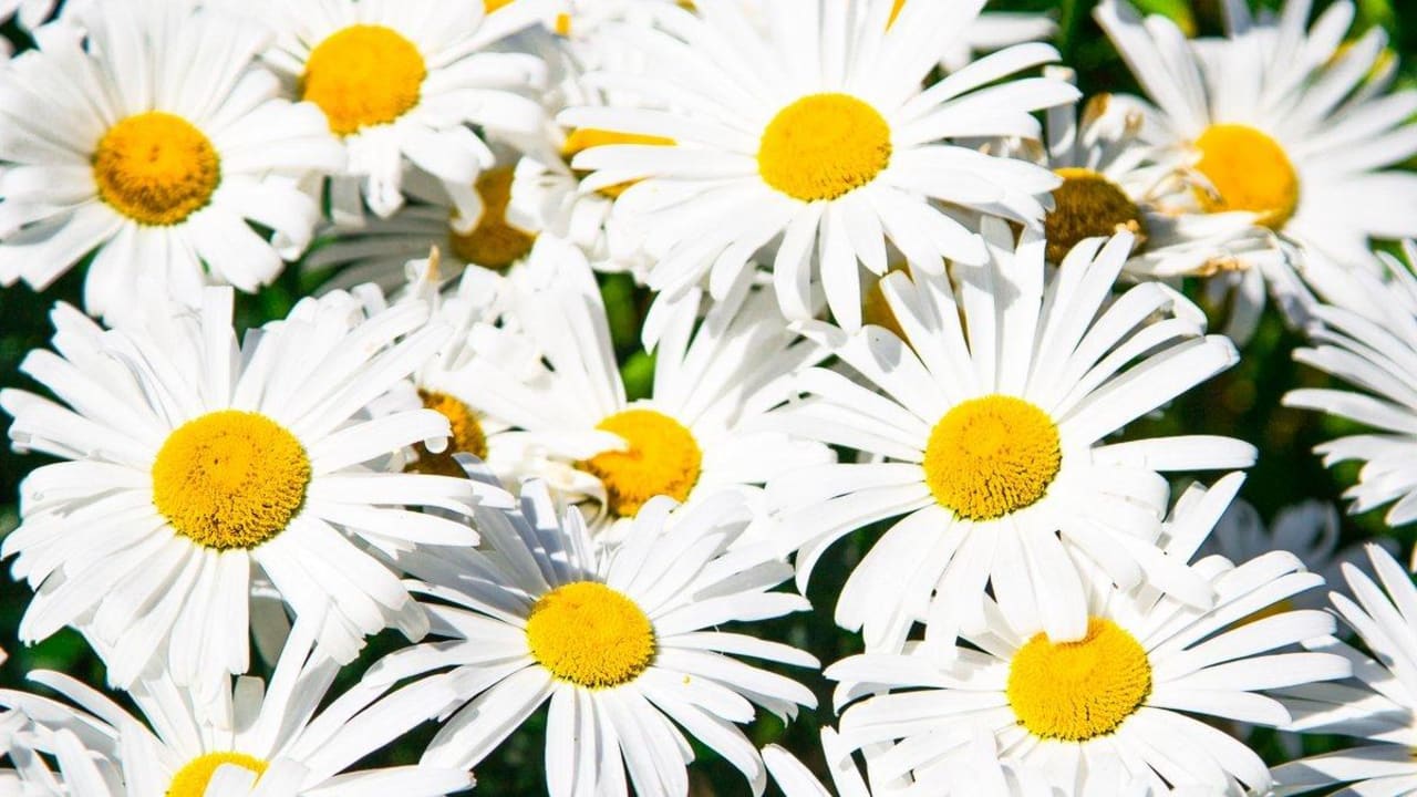 Außenbereich Hotel Christine