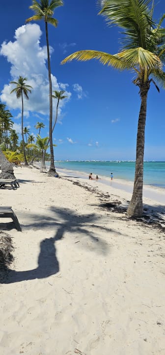 Strand Barceló Bávaro Palace