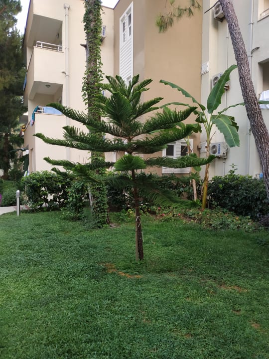 Gartenanlage Club Sidelya Hotel