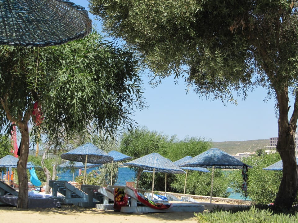 Schön viele Bäume Club Resort Atlantis