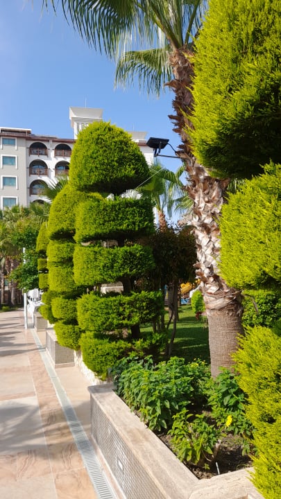 Gartenanlage Dizalya Palm Garden