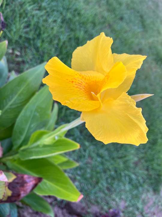 Gartenanlage Myrina Beach Hotel