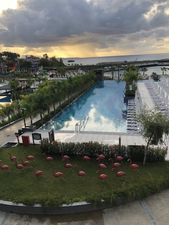 Zimmer Mylome Luxury Hotel & Resort