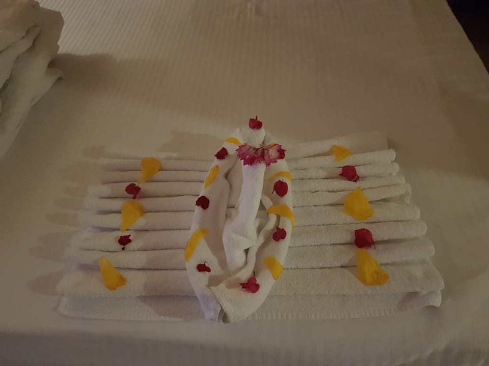 Zimmer Malikia Resort Abu Dabbab