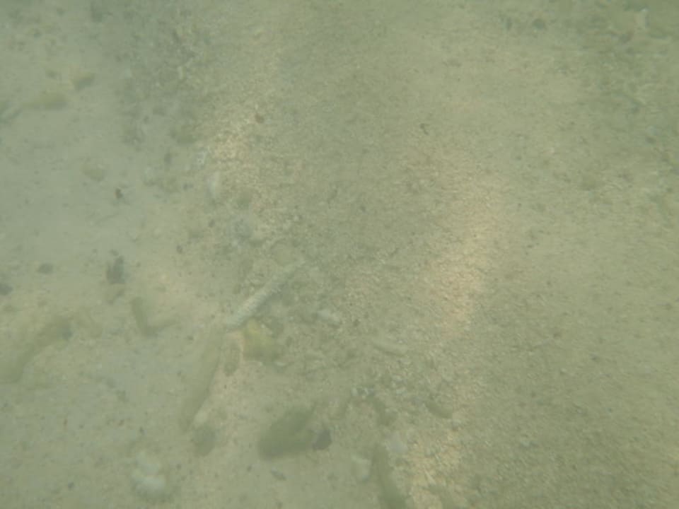 Unterwasserwelt Victoria Beachcomber Resort & Spa