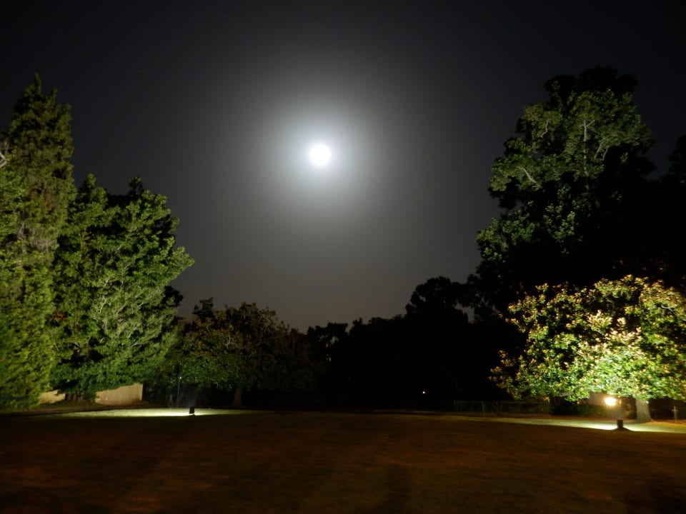 Blick von der Hotelterrasse Hotel Casa Velha do Palheiro
