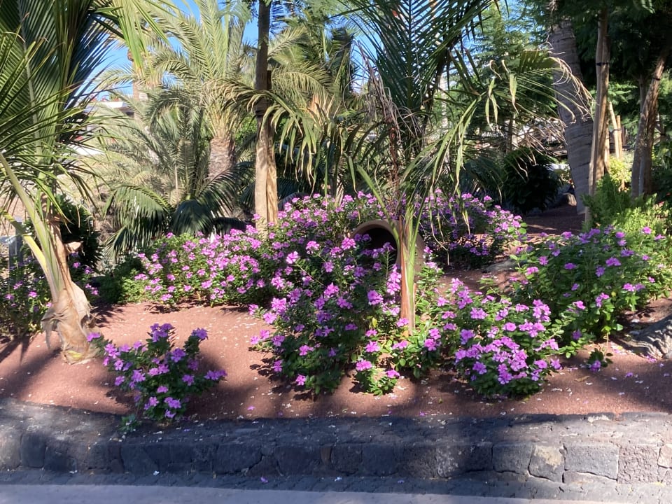 Gartenanlage Hotel Fariones