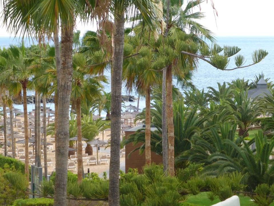 Blick auf den Infinity Poolbereich Hotel Riu Arecas - Adults only