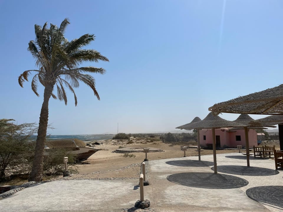 Sport & Freizeit Shams Alam Beach Resort