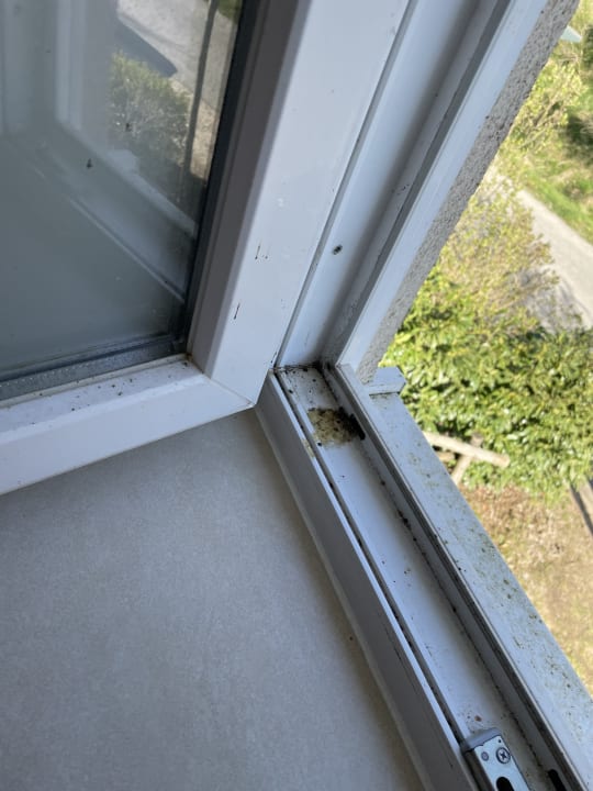 Zimmer Center Parcs Park Bostalsee