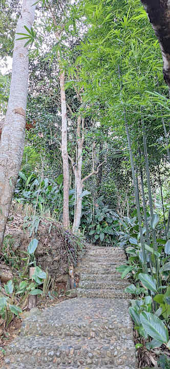 Gartenanlage Pu Luong Eco Garden