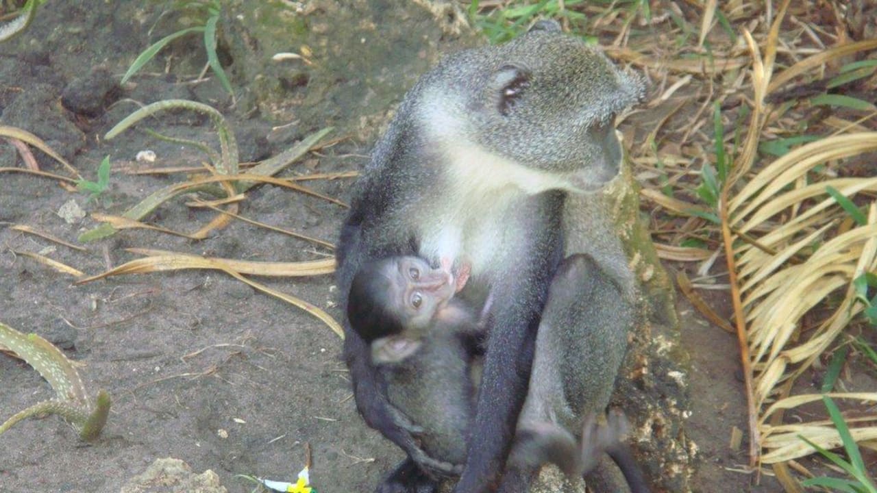 Завтрак Hotel Papillon Lagoon Reef