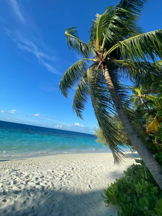 Strand Vilamendhoo Island Resort & Spa