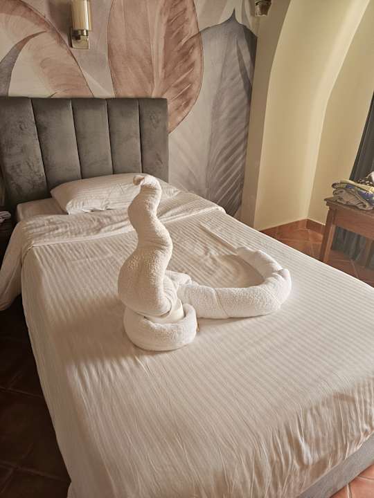 Zimmer Three Corners Sea Beach Resort