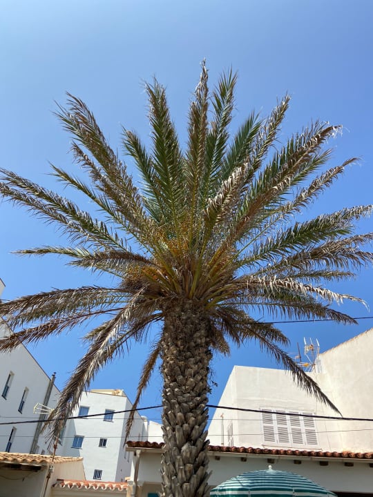 Sonstiges Son Moll Sentits Hotel & Spa