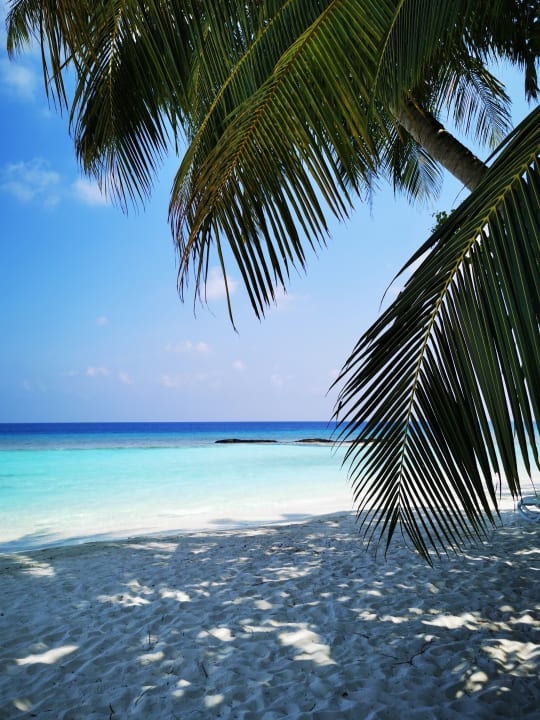 Strand Kuramathi Maldives