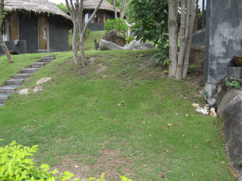 Aussen sehr ungeflegt  The Haad Tien Beach Resort