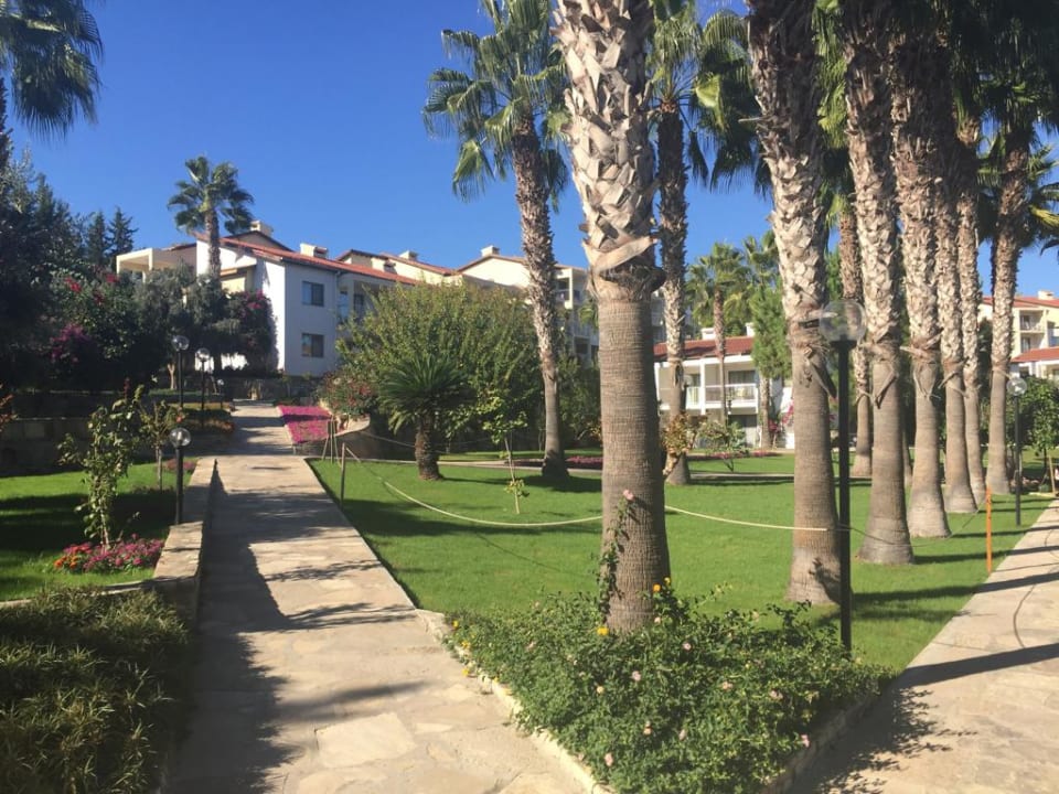 Gartenanlage Arum Barut Collection