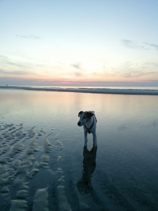 Strand Pension Haus Christa