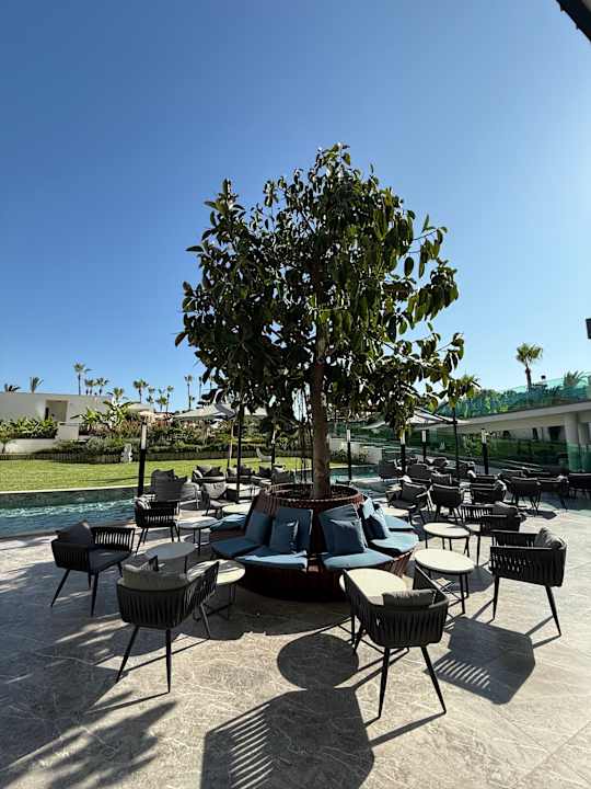 Gartenanlage Süral Saray Hotel