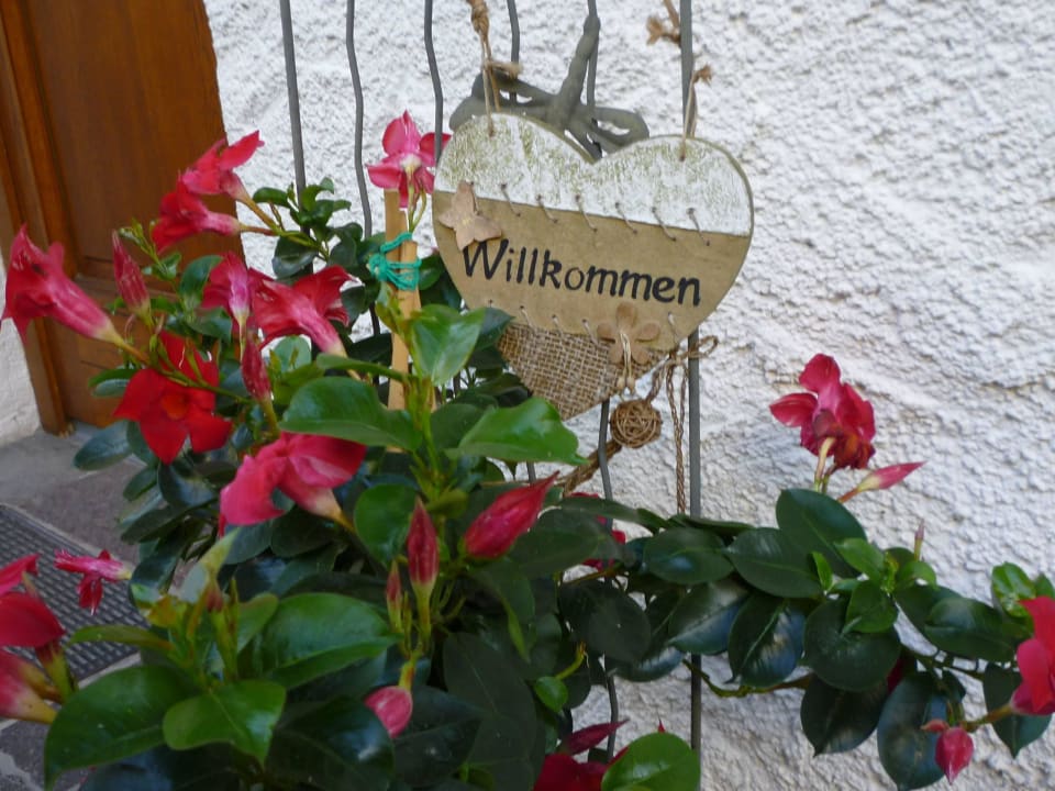 Gepflegter Eingangsbereich Gästehaus Eckau