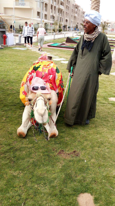 Das Kamel Pickalbatros White Beach Resort - Hurghada