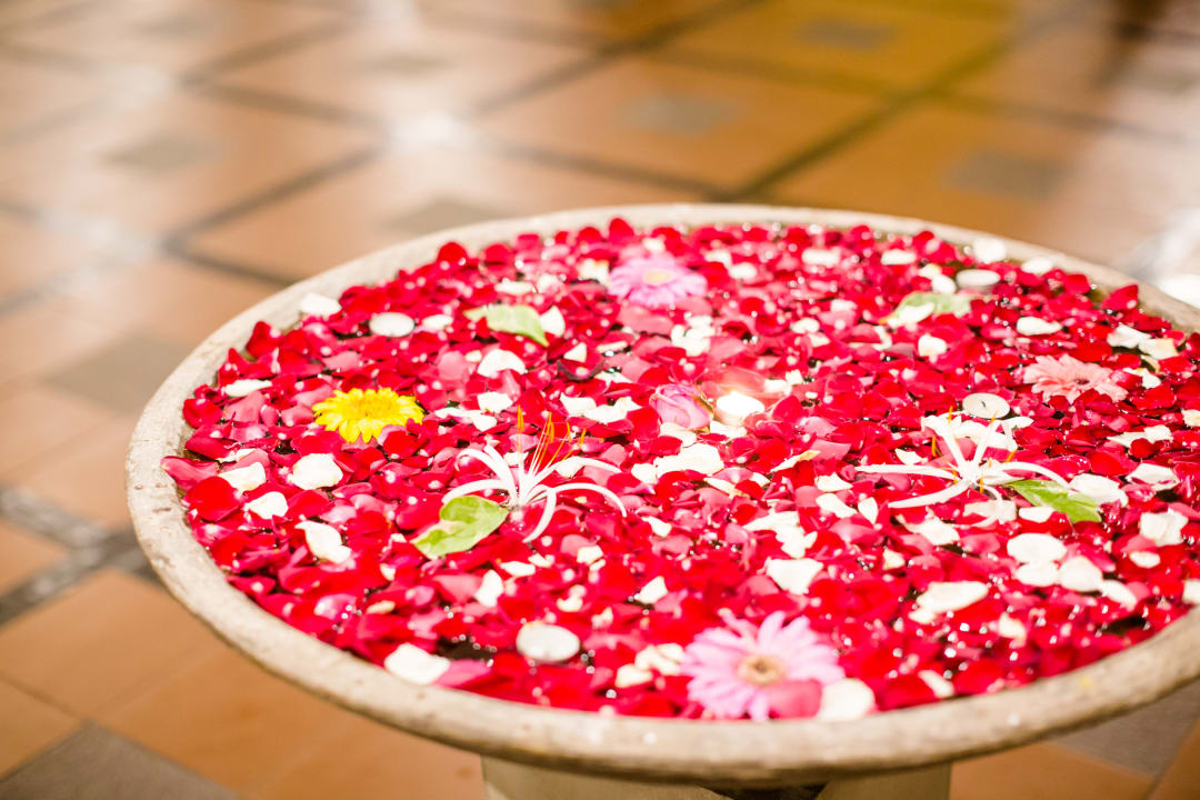 Sonstiges Ayurveda Paragon Hotel