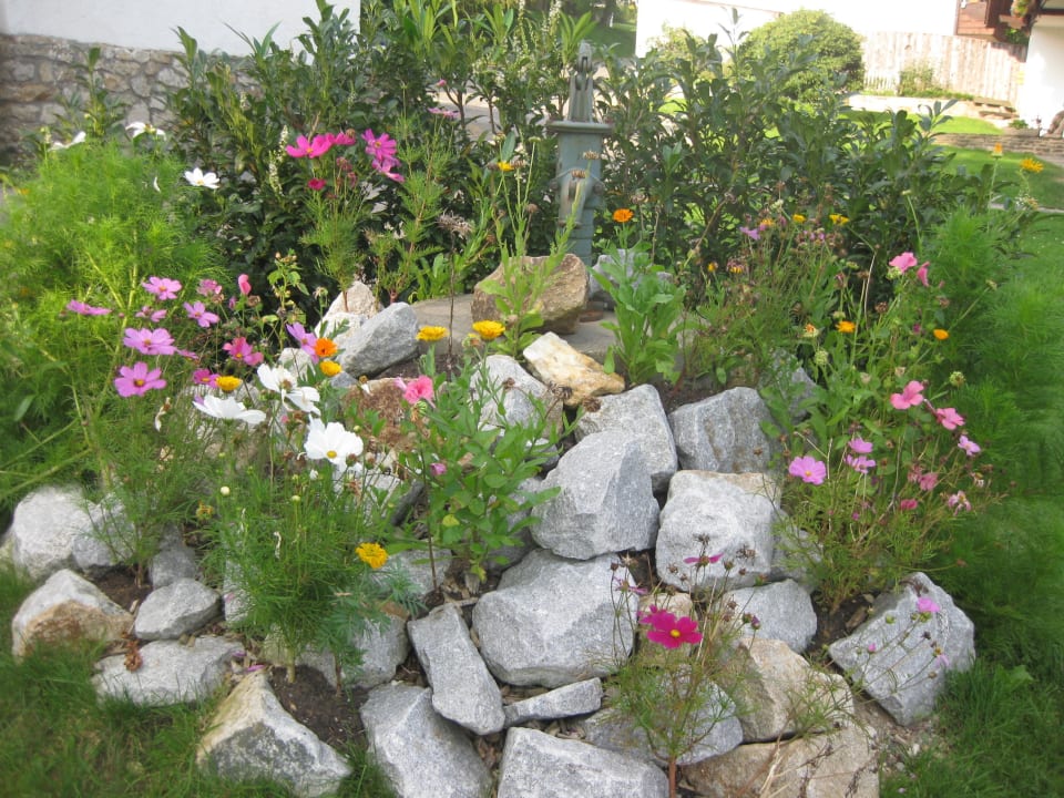 Blumen Landgasthof Postwirt