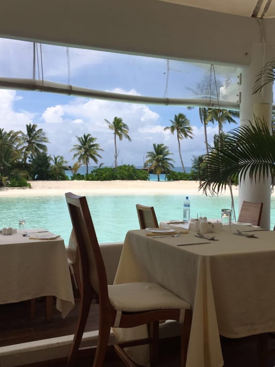Gastro Safari Island Maldives