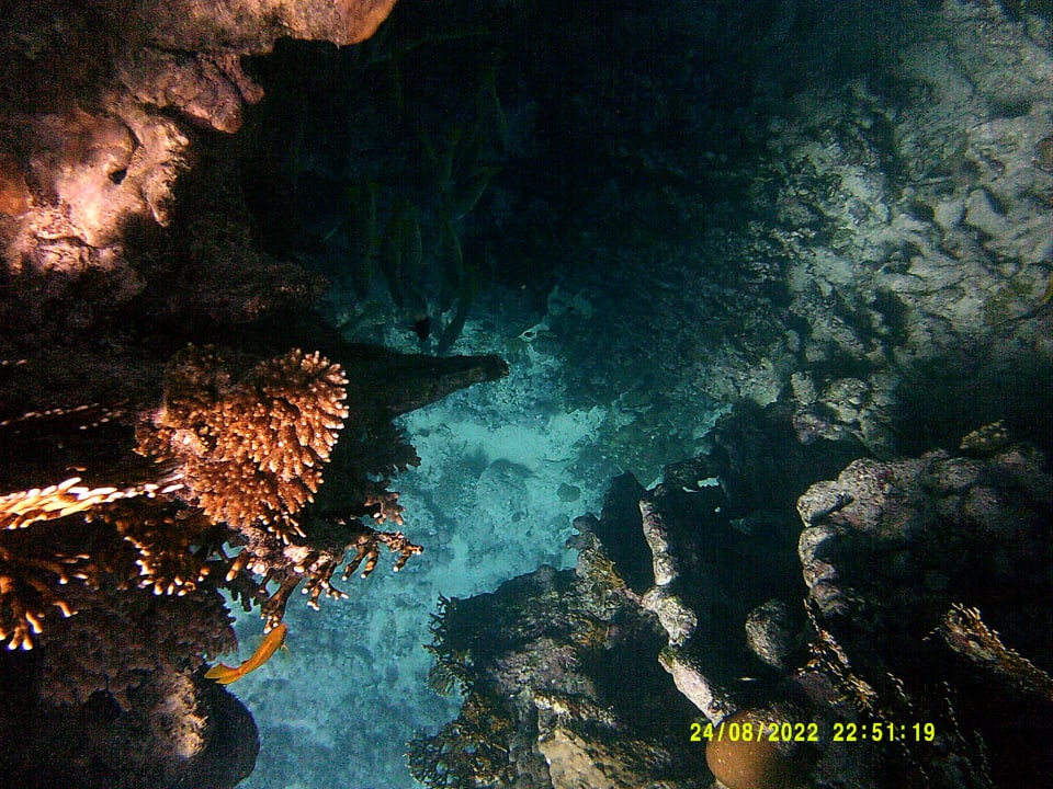 Sport & Freizeit Shams Alam Beach Resort