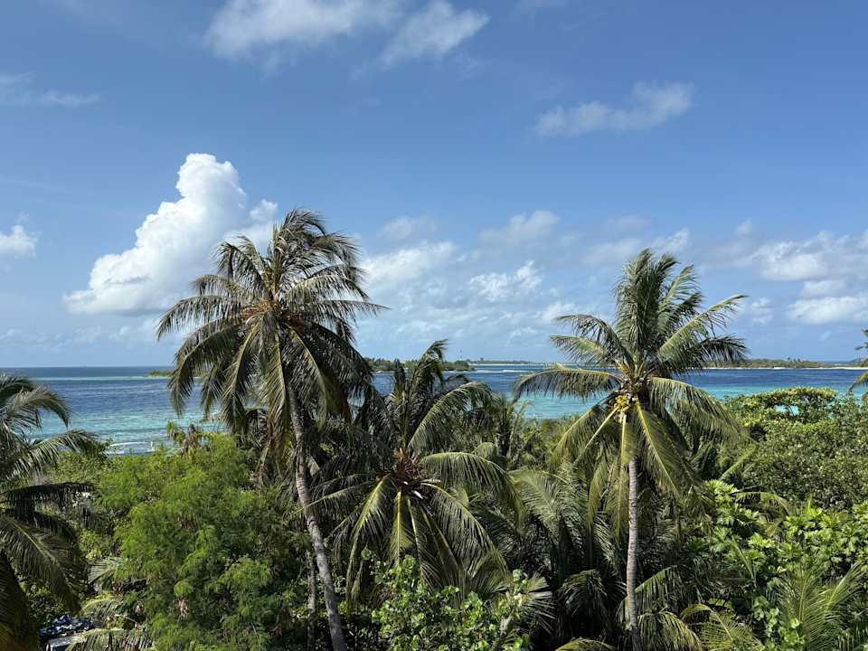 Gartenanlage Noah Private Beach House: An Oceanfront Gateaway