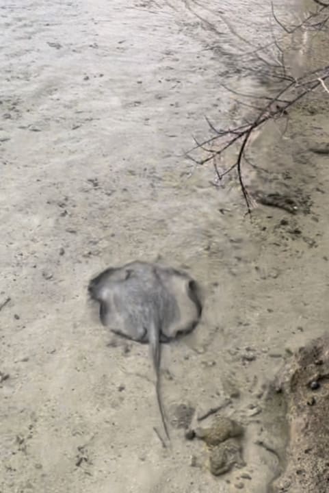 Außenansicht Summer Island Maldives