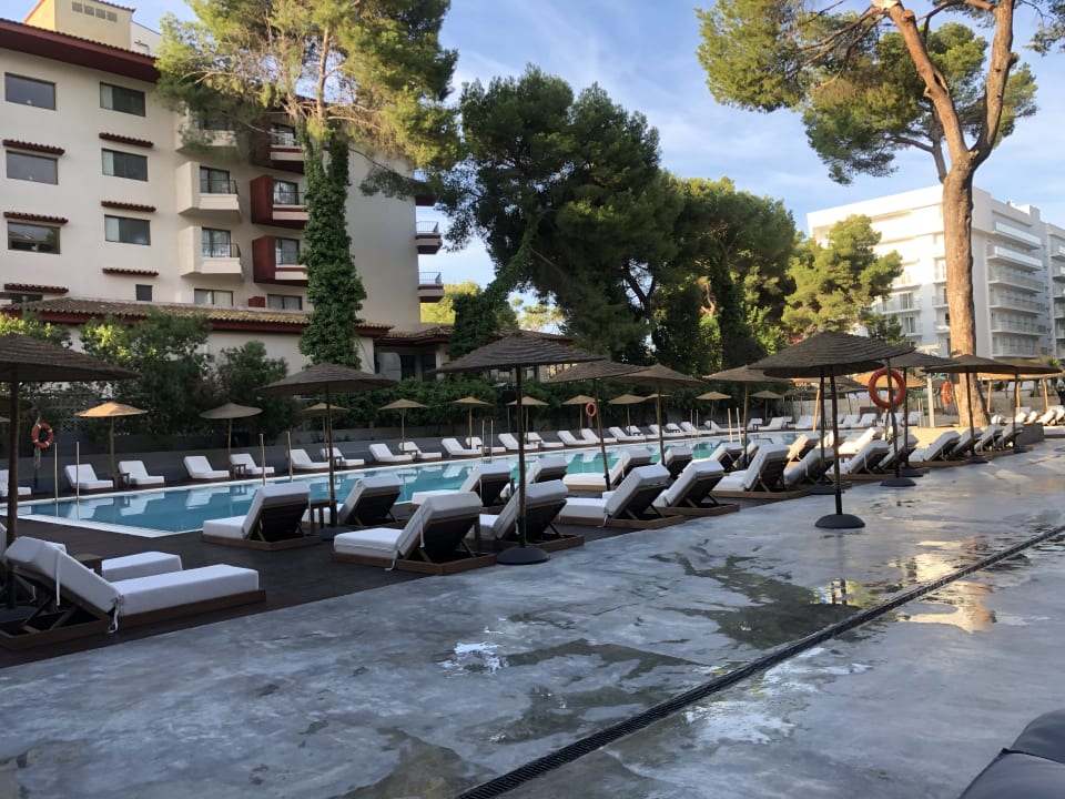 Pool Caramelo Palma Beach