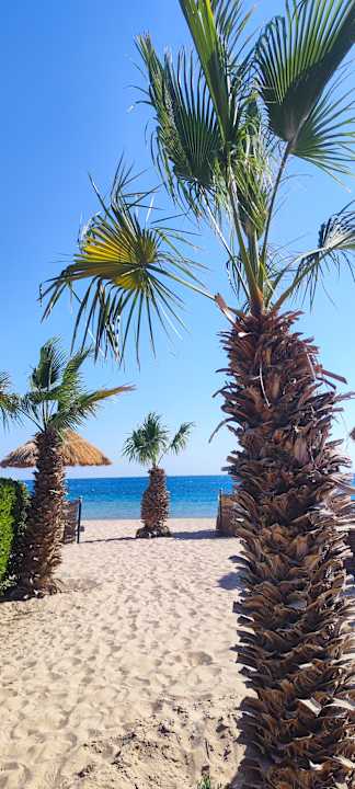 Strand Lotus Bay Beach Resort