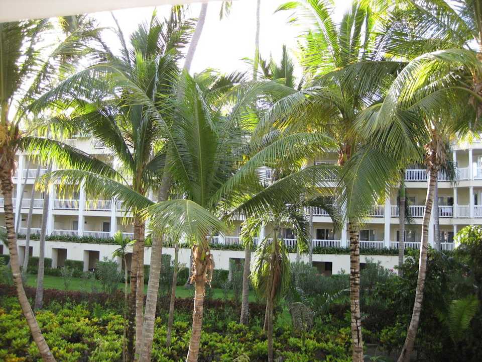 Ausblick auf Riu Macao Hotel Riu Bambu