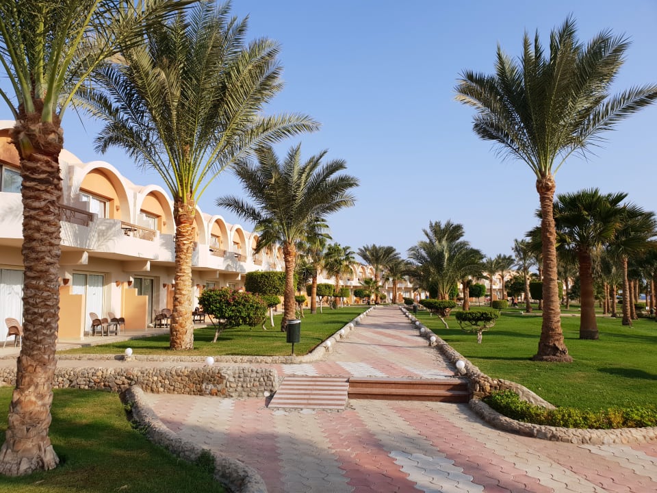 Gartenanlage Three Corners Sea Beach Resort