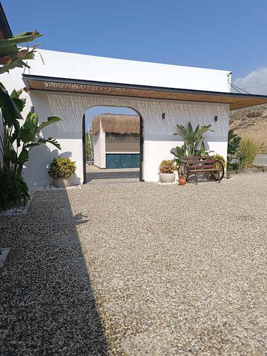 Strand Seashell Vega