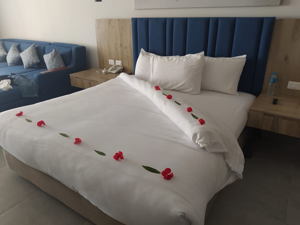 Zimmer Pickalbatros Blu Spa Resort