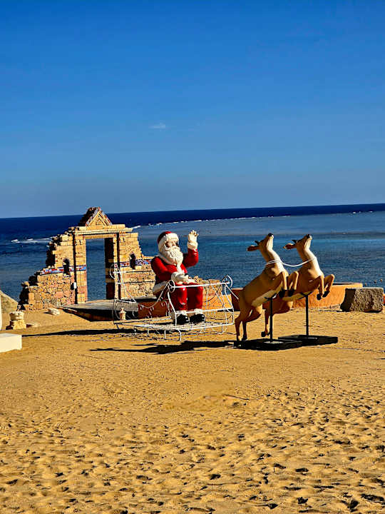 Ausblick Pickalbatros Vita Resort - Portofino Marsa Alam