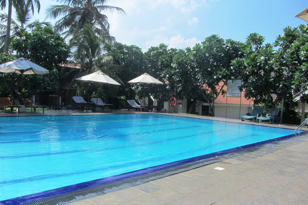 Pool Goldi Sands Hotel