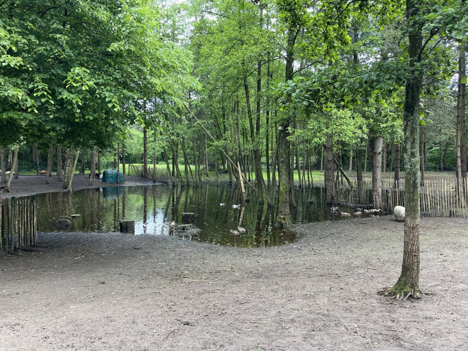 Sport & Freizeit Sunparks Kempense Meren
