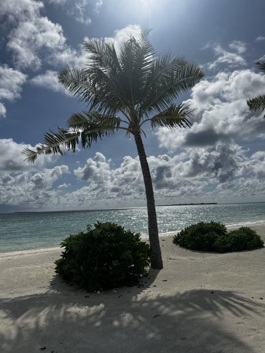 Strand Six Senses Kanuhura