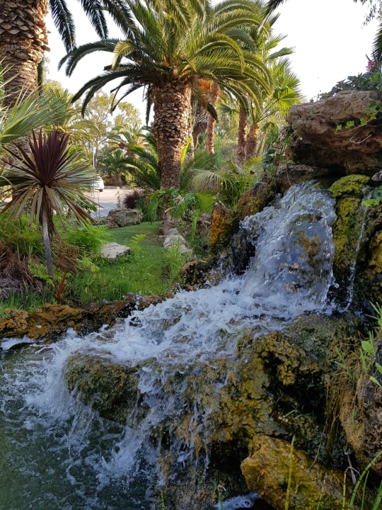 Gartenanlage Caravia Beach Hotel